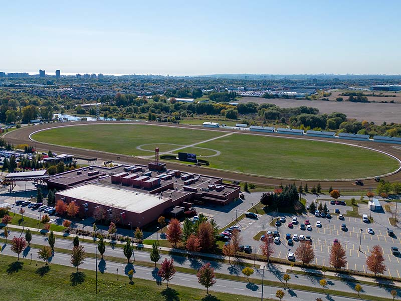 Security Professional