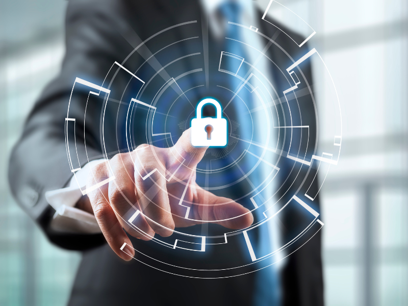 Security Professional