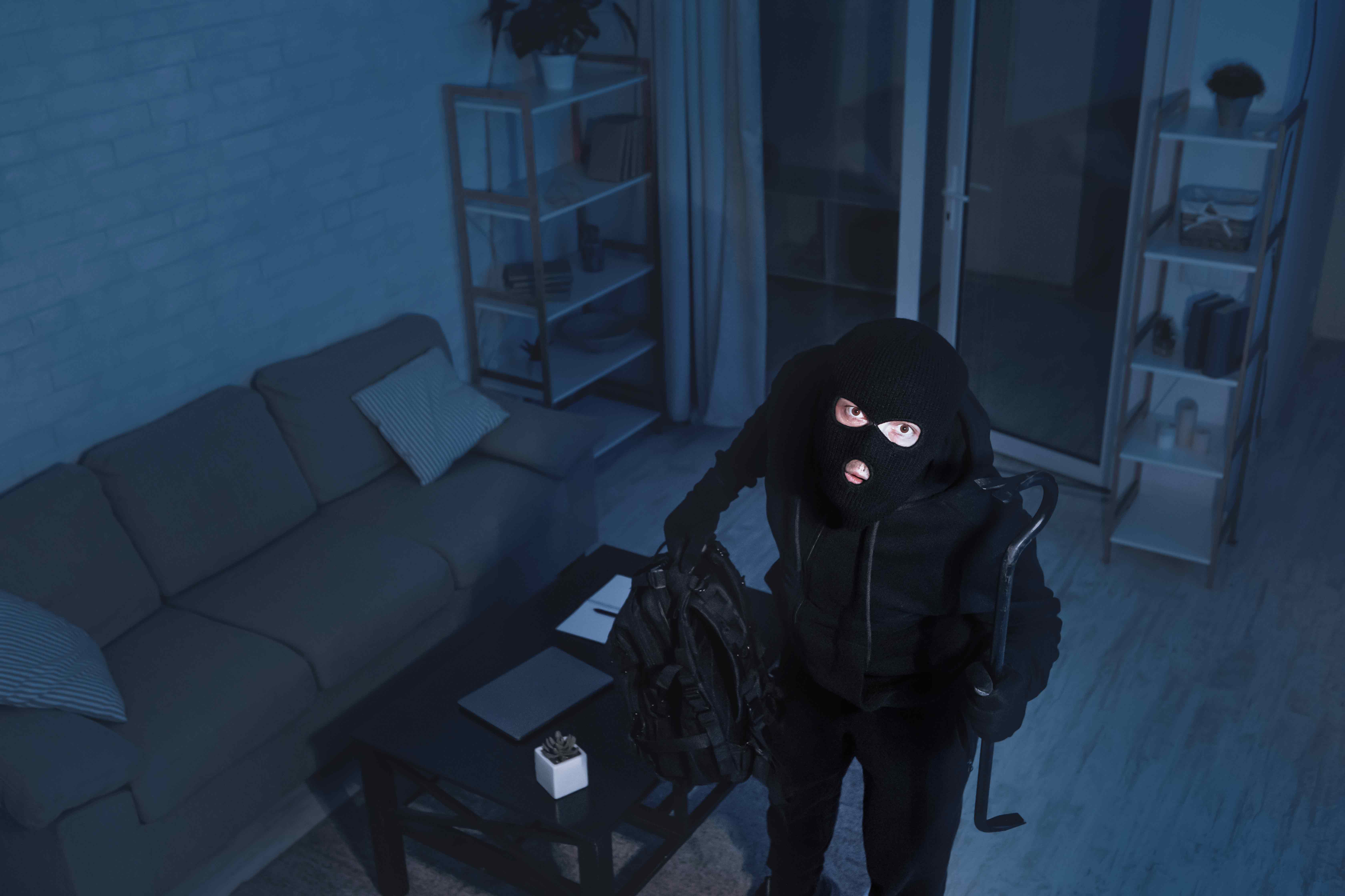 Business Security Professional