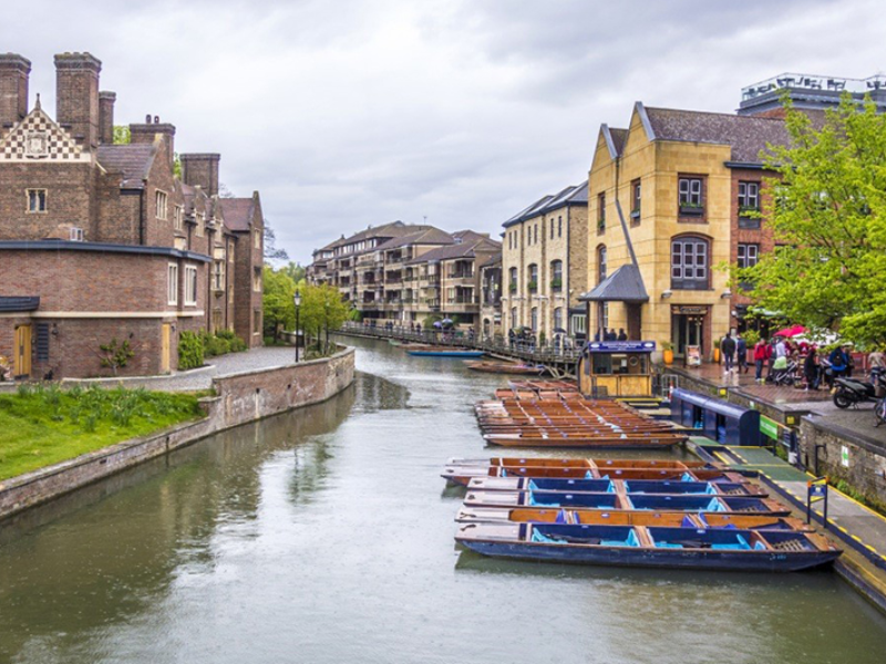 Security Professional