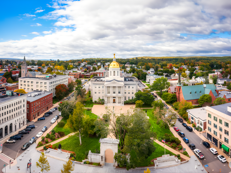 Security Professional