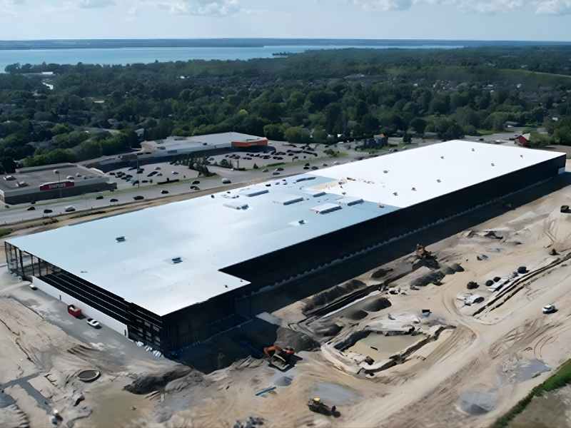 Security Professional