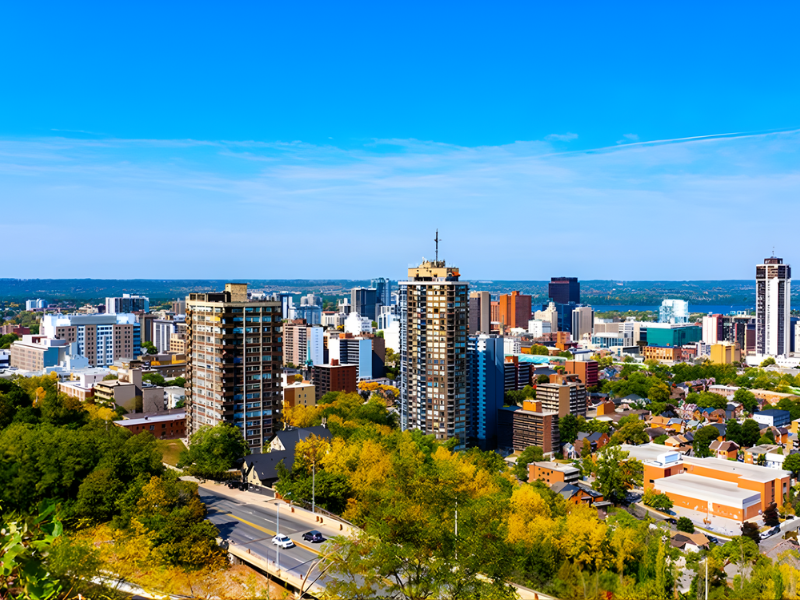 Security Professional