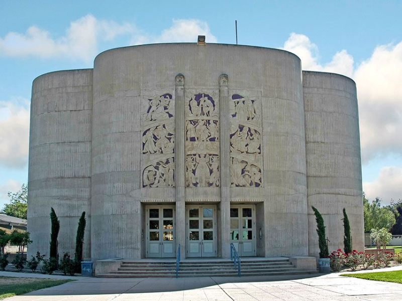 Security Professional