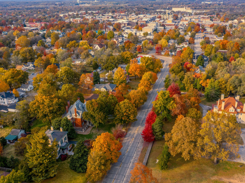 Security Professional