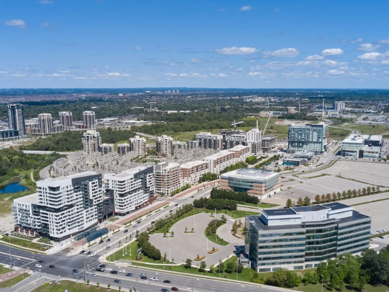 Security Professional