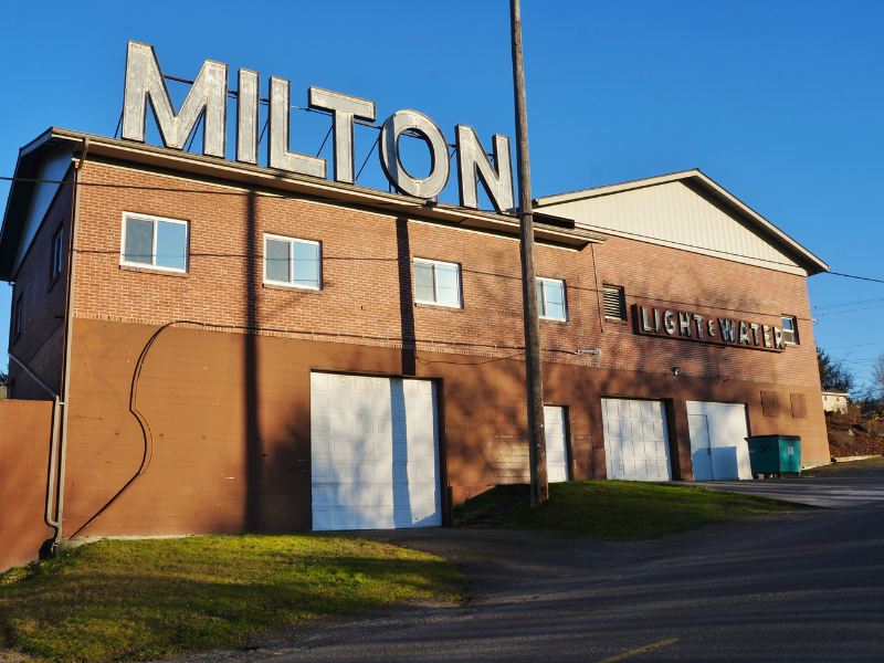 Security Professional