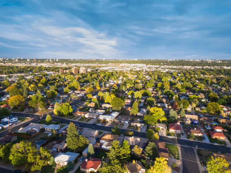 Security Professional