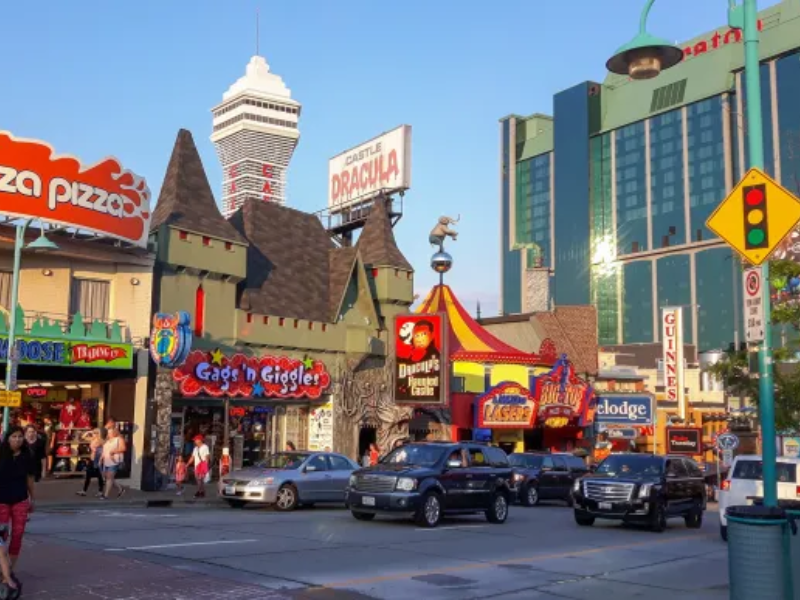 Professional Installation