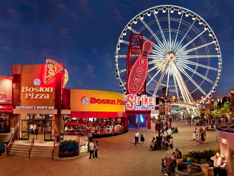 Security Professional