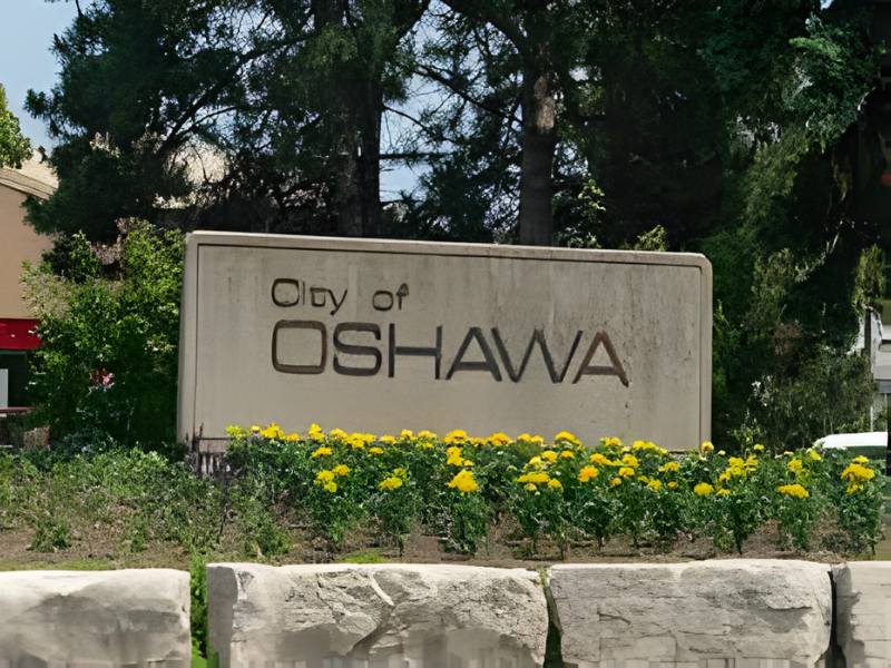 Security Professional