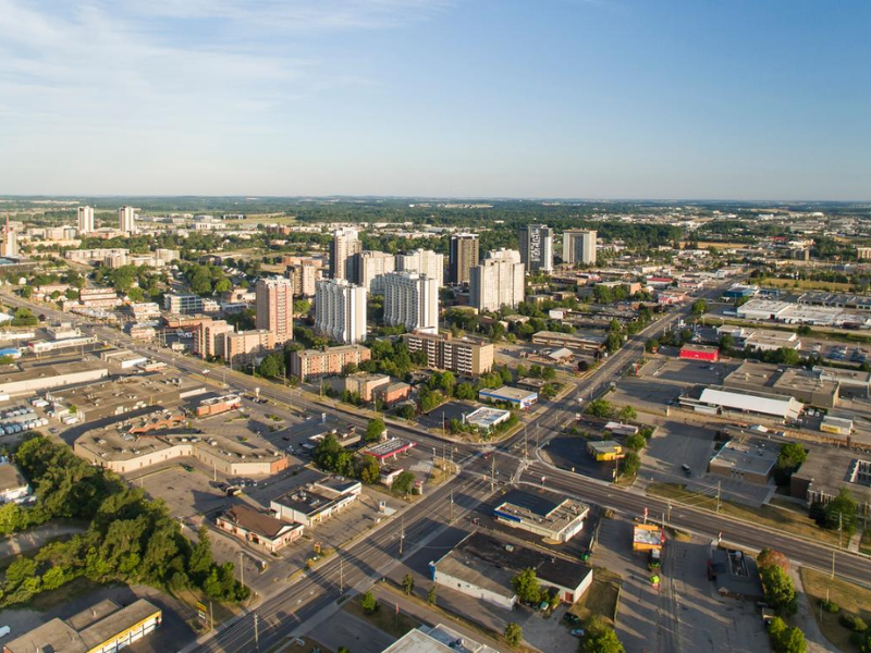 Security Professional