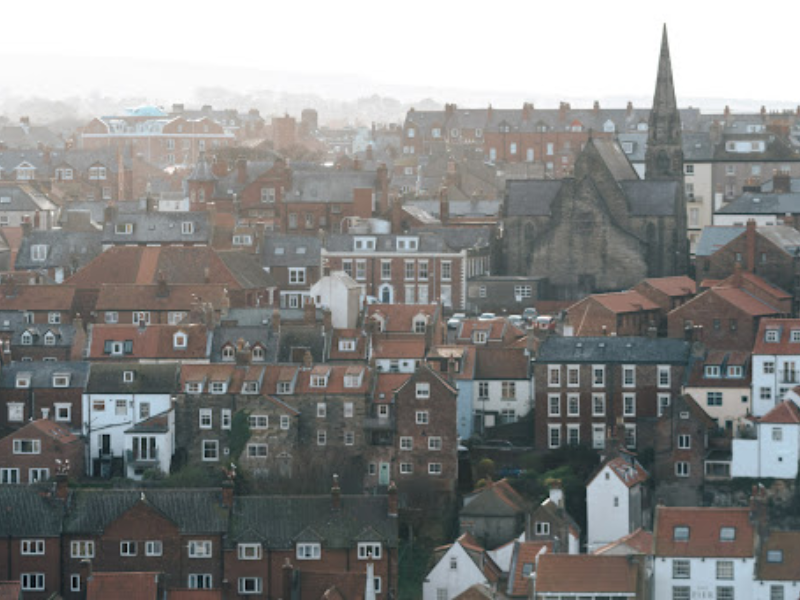 Security Professional