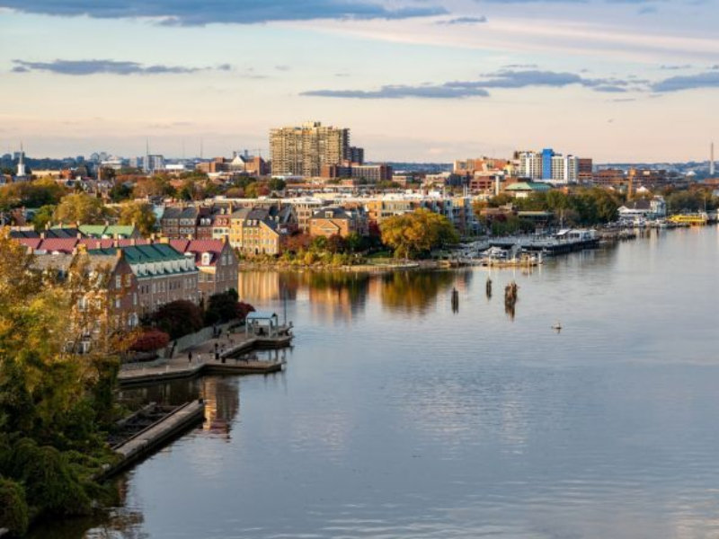 Security Professional